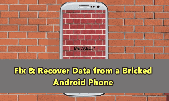 Recover Data from a Bricked Android Phone