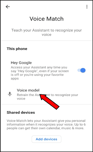 unable to connect with Google Home Mini