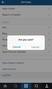 Instagram server cannot be found