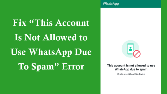 This Account Is Not Allowed to Use WhatsApp Due To Spam