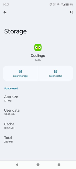 Fixing Duolingo An Error Occurred Try Again Later